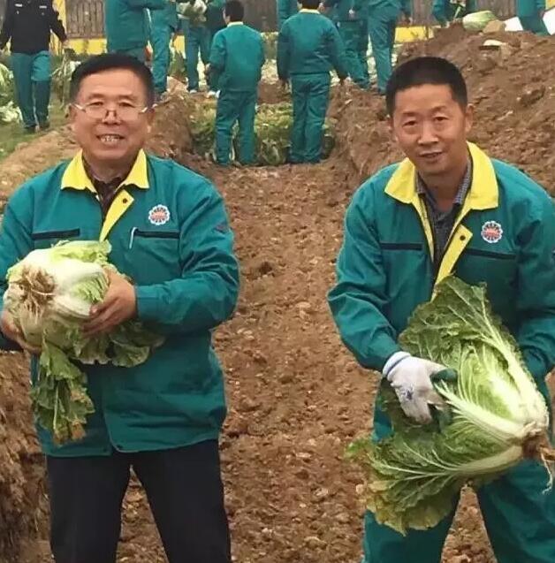 1529389832272644.jpg 33.jpg